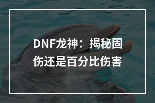 DNF龙神：揭秘固伤还是百分比伤害