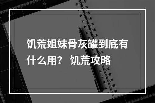 饥荒姐妹骨灰罐到底有什么用？ 饥荒攻略