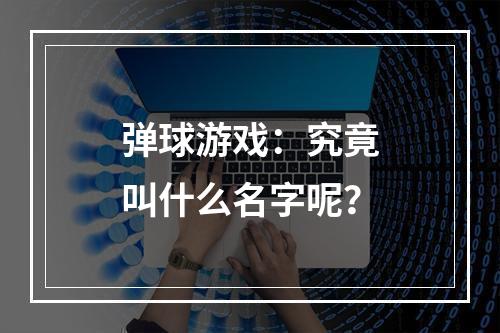 弹球游戏：究竟叫什么名字呢？