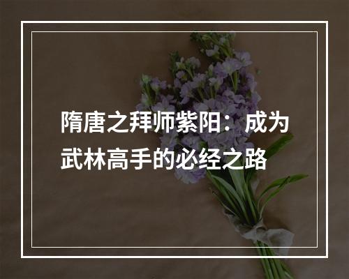 隋唐之拜师紫阳：成为武林高手的必经之路