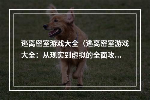 逃离密室游戏大全（逃离密室游戏大全：从现实到虚拟的全面攻略）