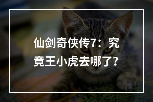 仙剑奇侠传7：究竟王小虎去哪了？