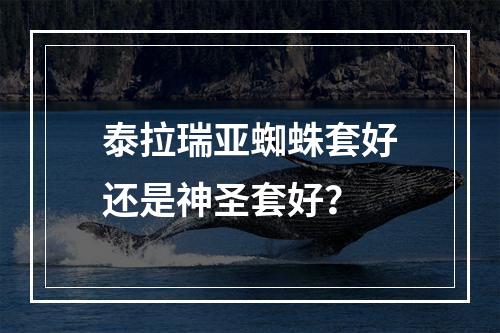 泰拉瑞亚蜘蛛套好还是神圣套好？