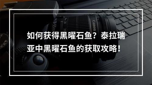 如何获得黑曜石鱼？泰拉瑞亚中黑曜石鱼的获取攻略！