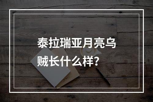 泰拉瑞亚月亮乌贼长什么样？