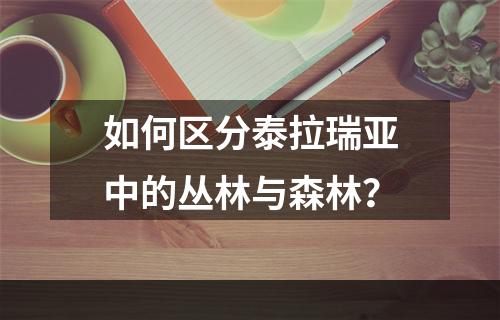 如何区分泰拉瑞亚中的丛林与森林？