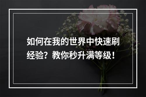 如何在我的世界中快速刷经验？教你秒升满等级！