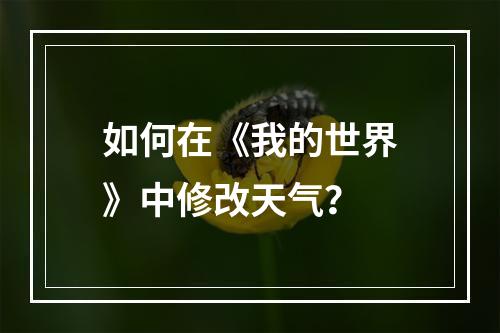 如何在《我的世界》中修改天气？