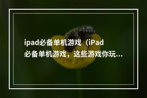 ipad必备单机游戏（iPad必备单机游戏，这些游戏你玩过多少？）