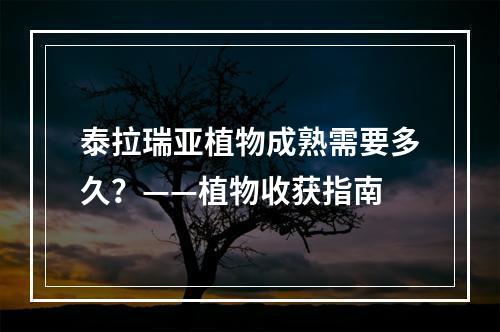 泰拉瑞亚植物成熟需要多久？——植物收获指南