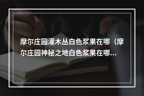 摩尔庄园灌木丛白色浆果在哪（摩尔庄园神秘之地白色浆果在哪？攻略指南）