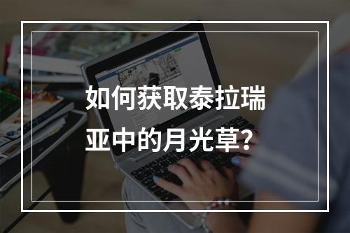 如何获取泰拉瑞亚中的月光草？