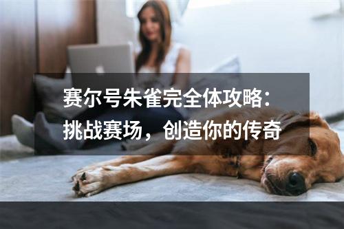 赛尔号朱雀完全体攻略：挑战赛场，创造你的传奇