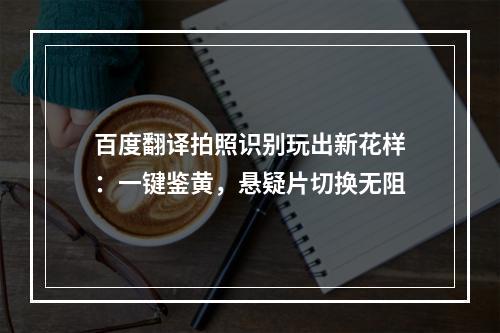 百度翻译拍照识别玩出新花样：一键鉴黄，悬疑片切换无阻