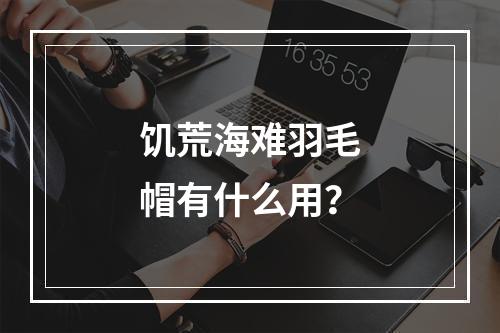 饥荒海难羽毛帽有什么用？