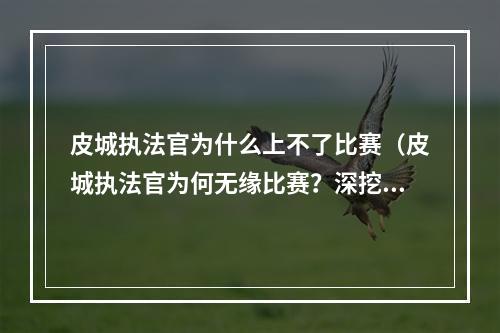 皮城执法官为什么上不了比赛（皮城执法官为何无缘比赛？深挖LPL新政策实名制限制）