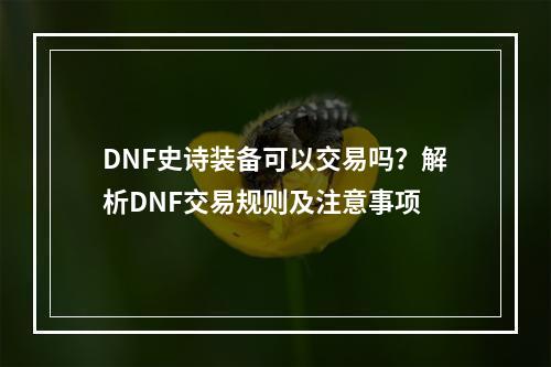 DNF史诗装备可以交易吗？解析DNF交易规则及注意事项