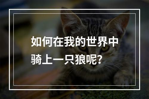 如何在我的世界中骑上一只狼呢？