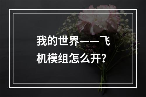 我的世界——飞机模组怎么开？