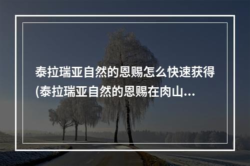 泰拉瑞亚自然的恩赐怎么快速获得(泰拉瑞亚自然的恩赐在肉山前有没有)