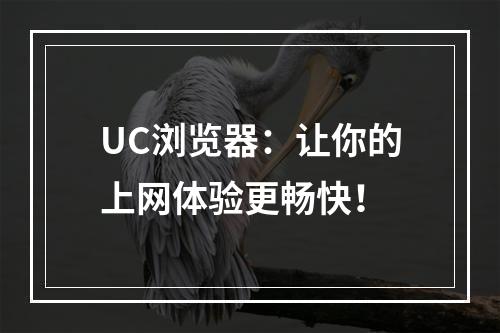 UC浏览器：让你的上网体验更畅快！