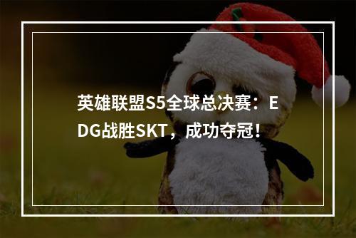 英雄联盟S5全球总决赛：EDG战胜SKT，成功夺冠！