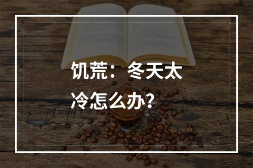 饥荒：冬天太冷怎么办？