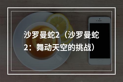 沙罗曼蛇2（沙罗曼蛇2：舞动天空的挑战）