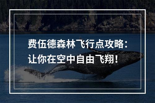 费伍德森林飞行点攻略：让你在空中自由飞翔！