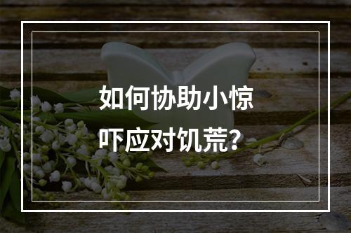 如何协助小惊吓应对饥荒？