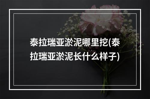 泰拉瑞亚淤泥哪里挖(泰拉瑞亚淤泥长什么样子)