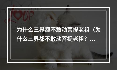 为什么三界都不敢动菩提老祖（为什么三界都不敢动菩提老祖？）