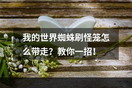 我的世界蜘蛛刷怪笼怎么带走？教你一招！