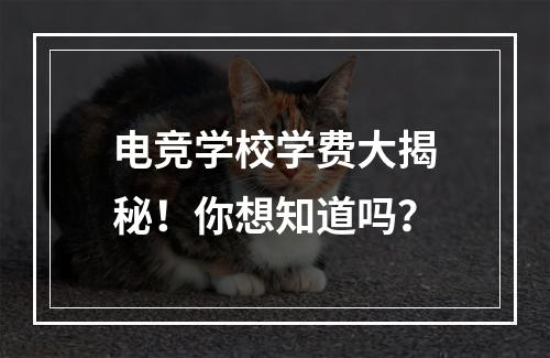 电竞学校学费大揭秘！你想知道吗？