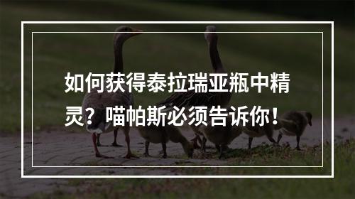 如何获得泰拉瑞亚瓶中精灵？喵帕斯必须告诉你！