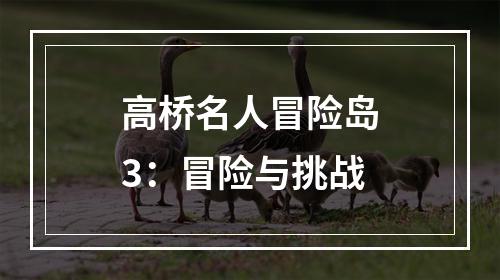 高桥名人冒险岛3：冒险与挑战