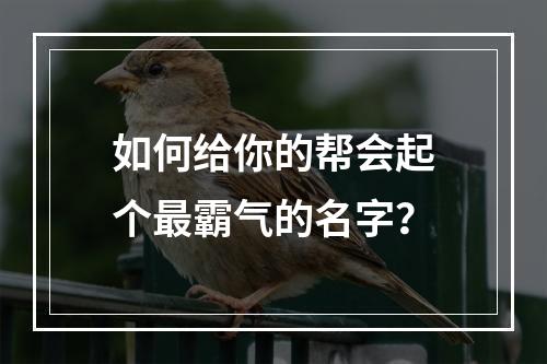 如何给你的帮会起个最霸气的名字？