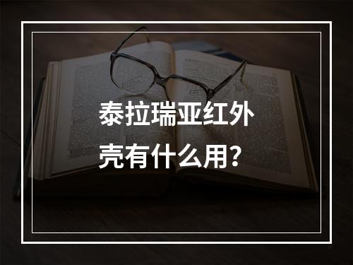 泰拉瑞亚红外壳有什么用？