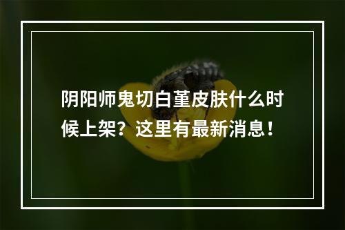 阴阳师鬼切白堇皮肤什么时候上架？这里有最新消息！