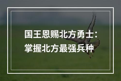 国王恩赐北方勇士：掌握北方最强兵种