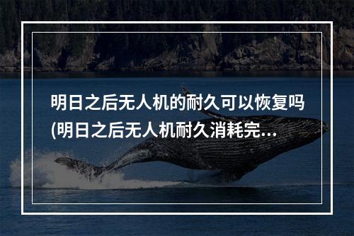 明日之后无人机的耐久可以恢复吗(明日之后无人机耐久消耗完了会消失吗)