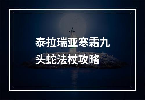 泰拉瑞亚寒霜九头蛇法杖攻略