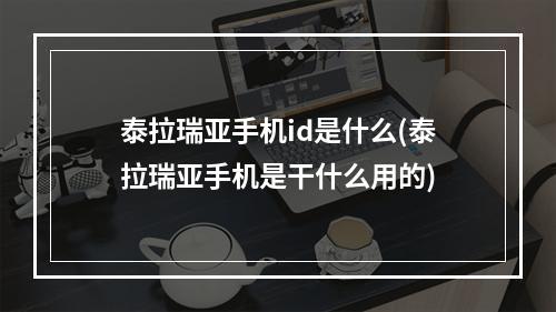 泰拉瑞亚手机id是什么(泰拉瑞亚手机是干什么用的)