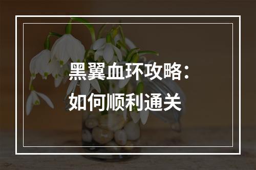 黑翼血环攻略：如何顺利通关