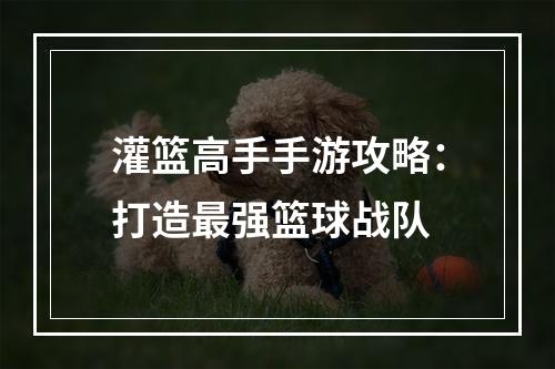 灌篮高手手游攻略：打造最强篮球战队