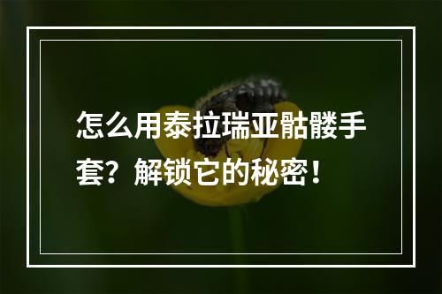 怎么用泰拉瑞亚骷髅手套？解锁它的秘密！