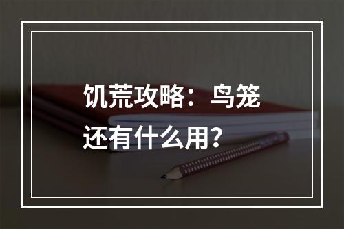 饥荒攻略：鸟笼还有什么用？