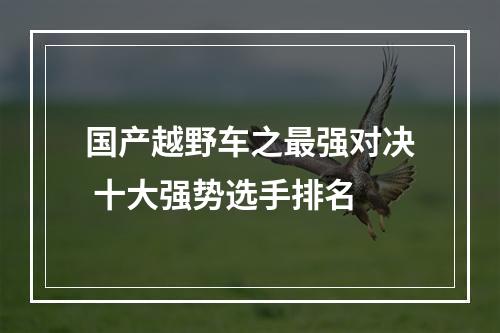 国产越野车之最强对决 十大强势选手排名