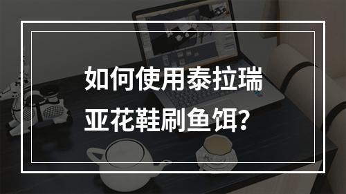 如何使用泰拉瑞亚花鞋刷鱼饵？