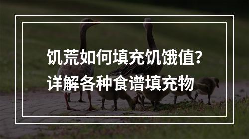 饥荒如何填充饥饿值？详解各种食谱填充物